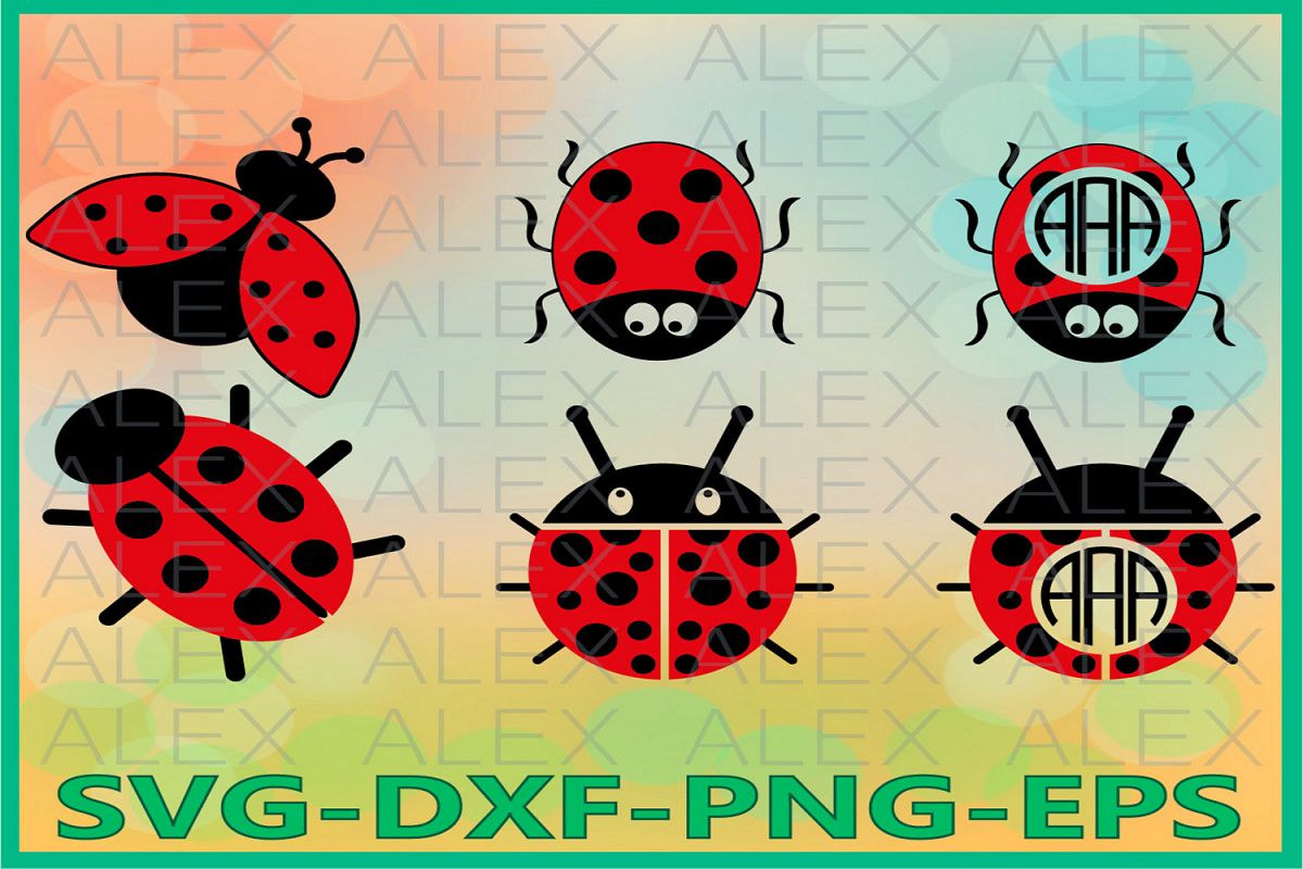 Ladybug Svg, Ladybug Frame Svg File, Ladybug clip art example image 1