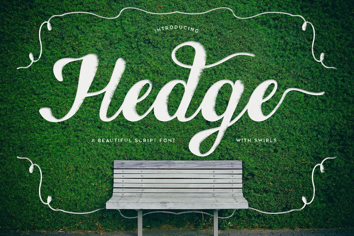 Hedge example image 1