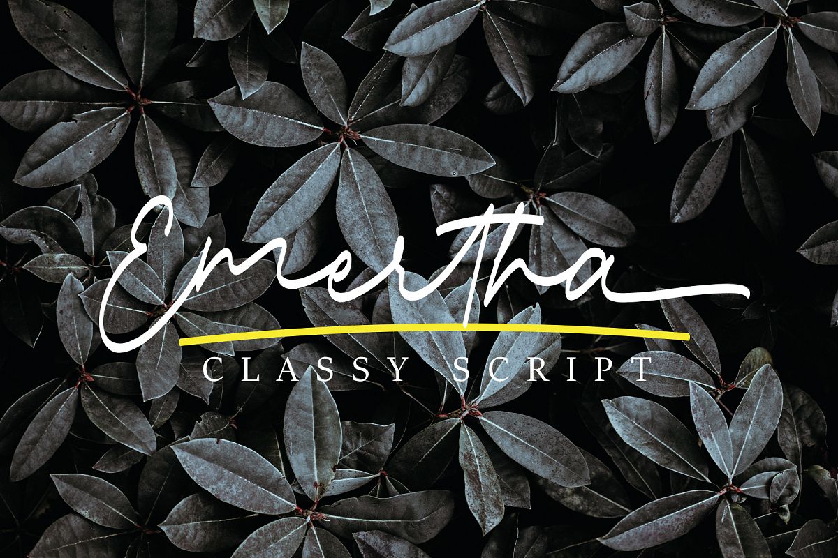 Emertha Classy Script example image 1