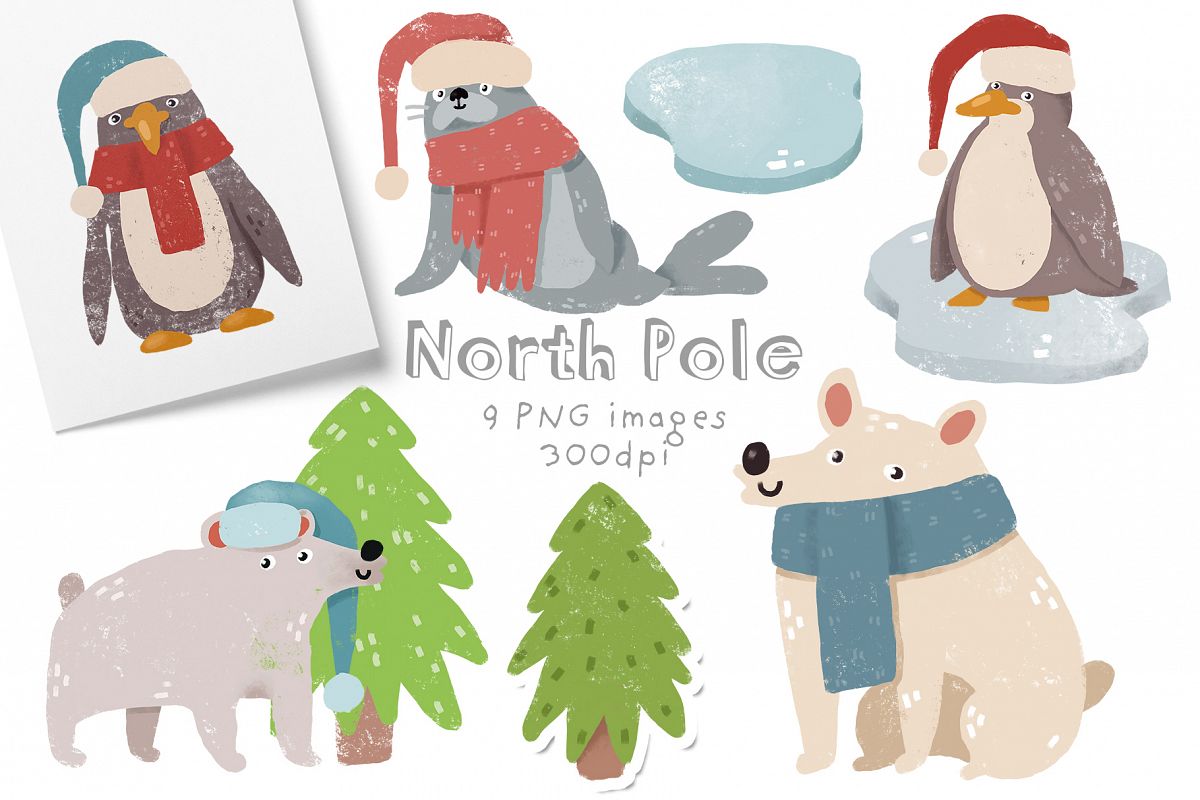 North Pole example image 1