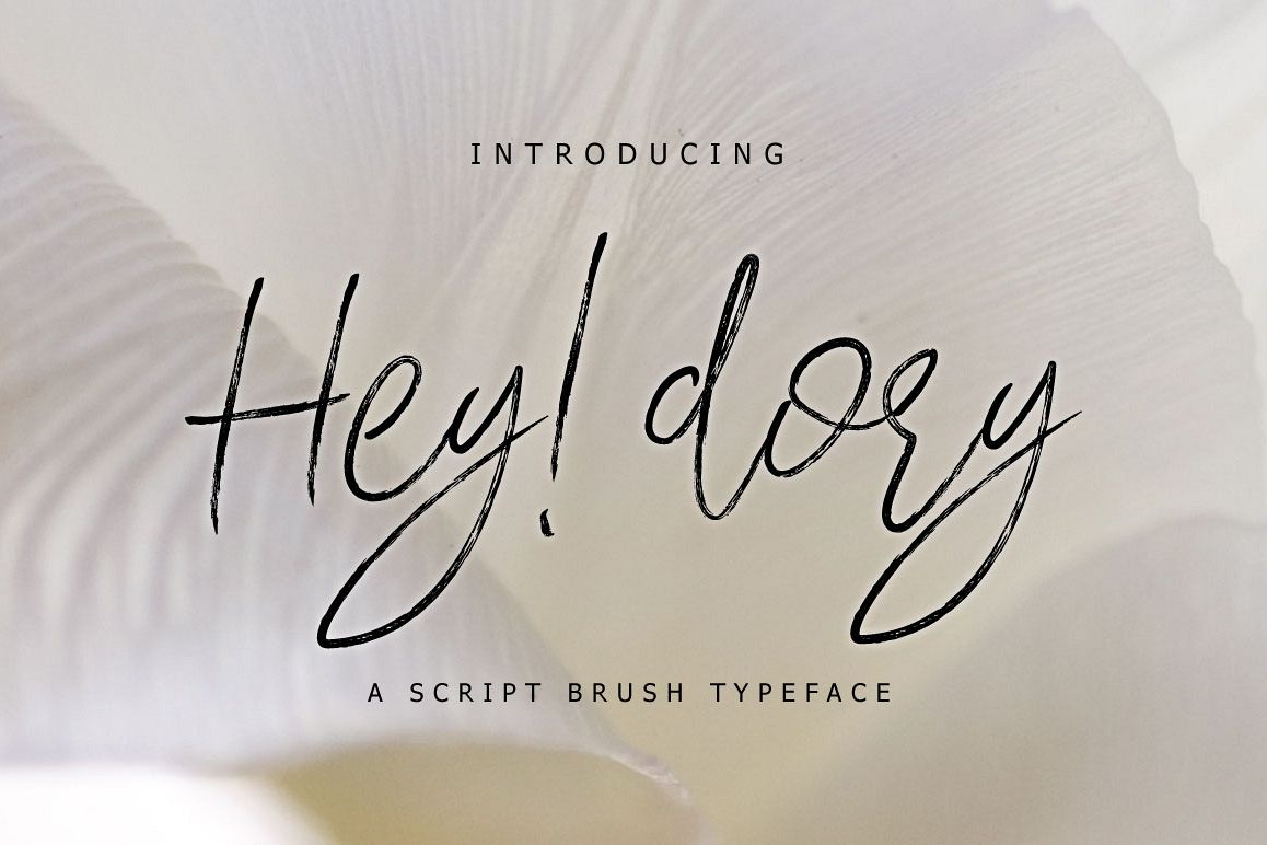 Hey Dory Typeface example image 1