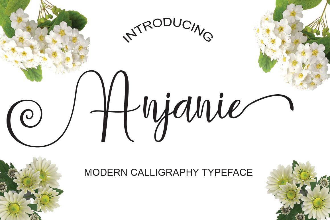 Anjanie example image 1