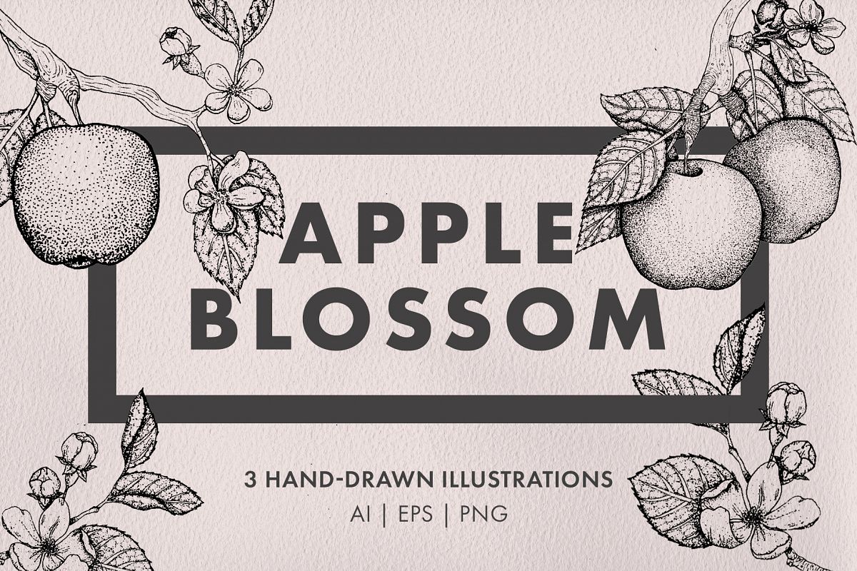 Apple Blossom Illustrations example image 1