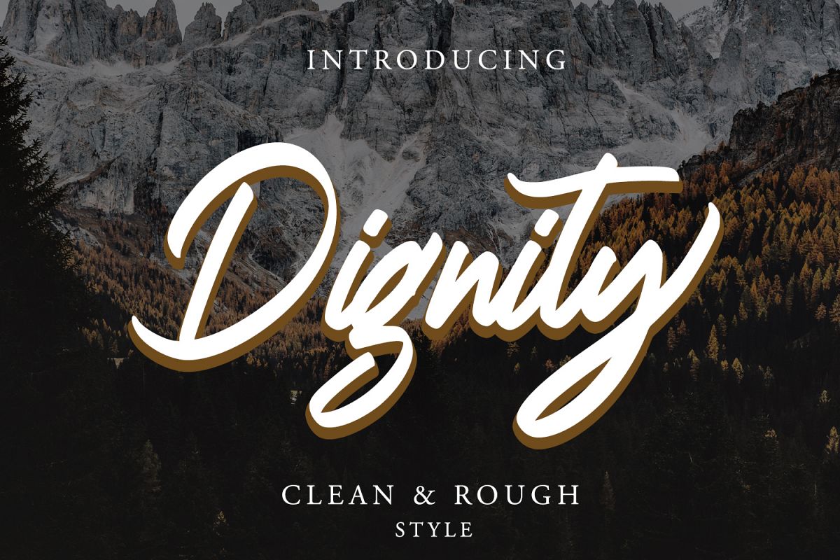 Dignity Brush Typeface example image 1