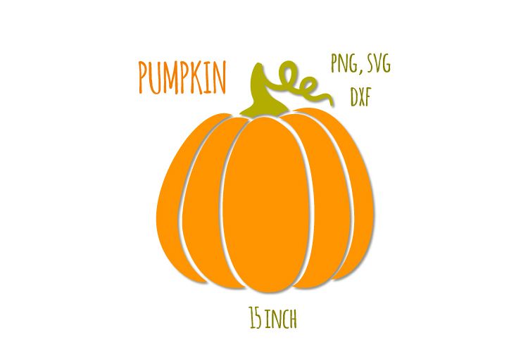 Pumpkins svg. Thanksgiving digital clipart example image 1