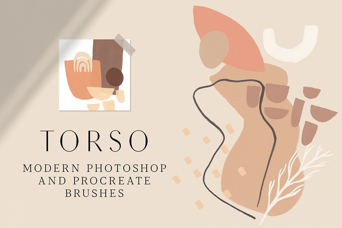 TORSO - Photoshop & Procreate Stamps example image 1