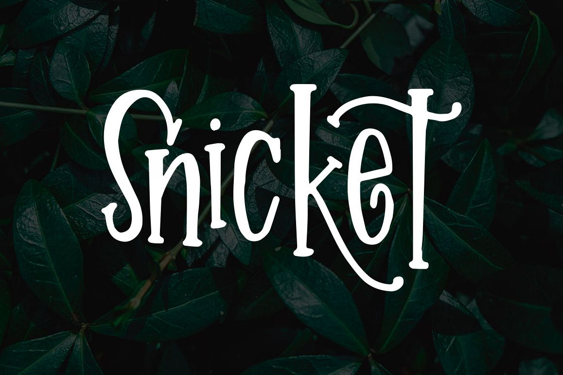 Snicket example image 1