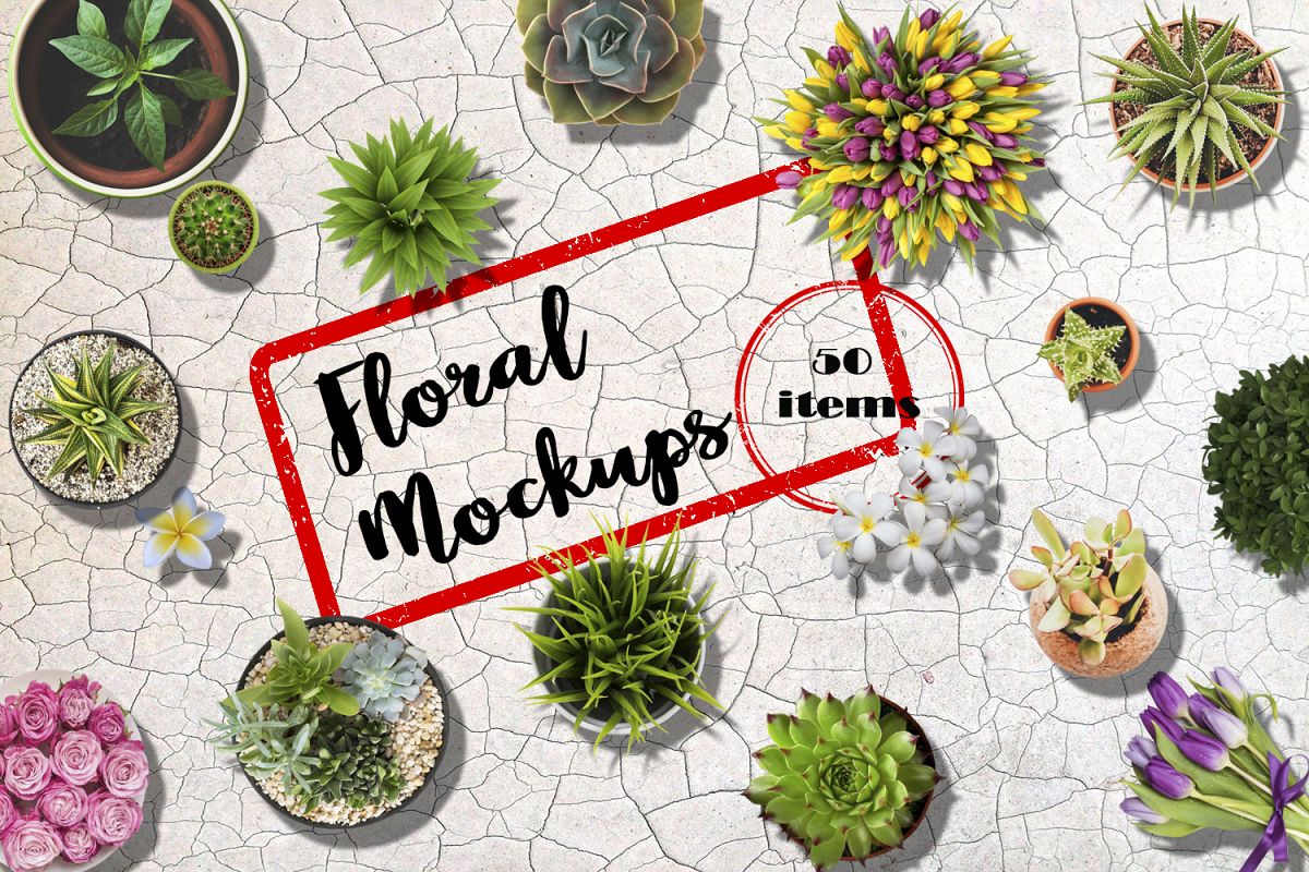 Floral Mockups. Flowers in pots and not only example image 1
