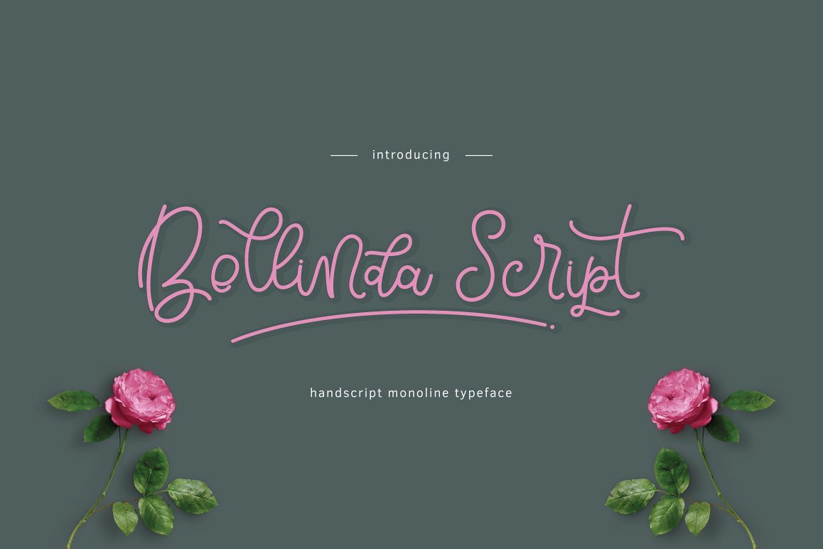 Bellinda Script example image 1