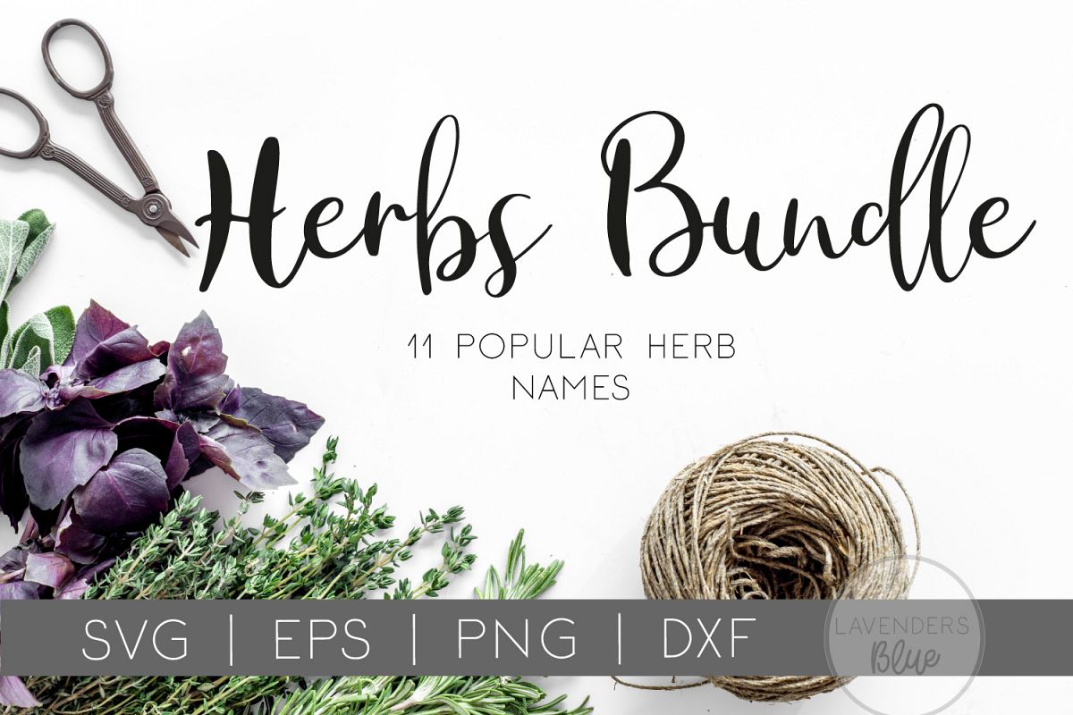 Herb Bundle | Herb Name Label SVGs | 11 Herb names example image 1