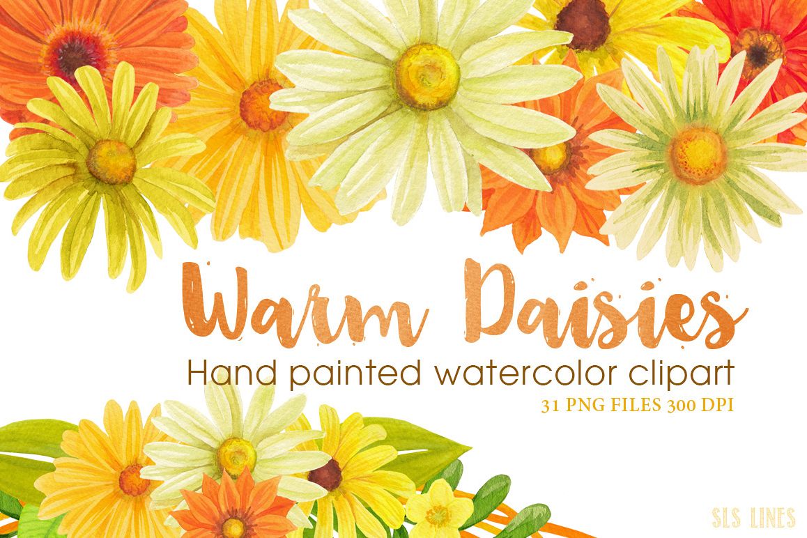 Warm Yellow & Orange Daisies, Watercolor PNG example image 1