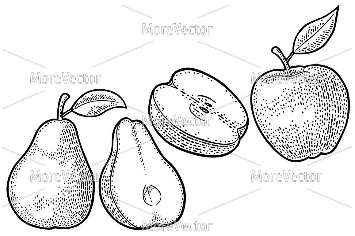 Pear, apple. Vintage black engraving example image 1
