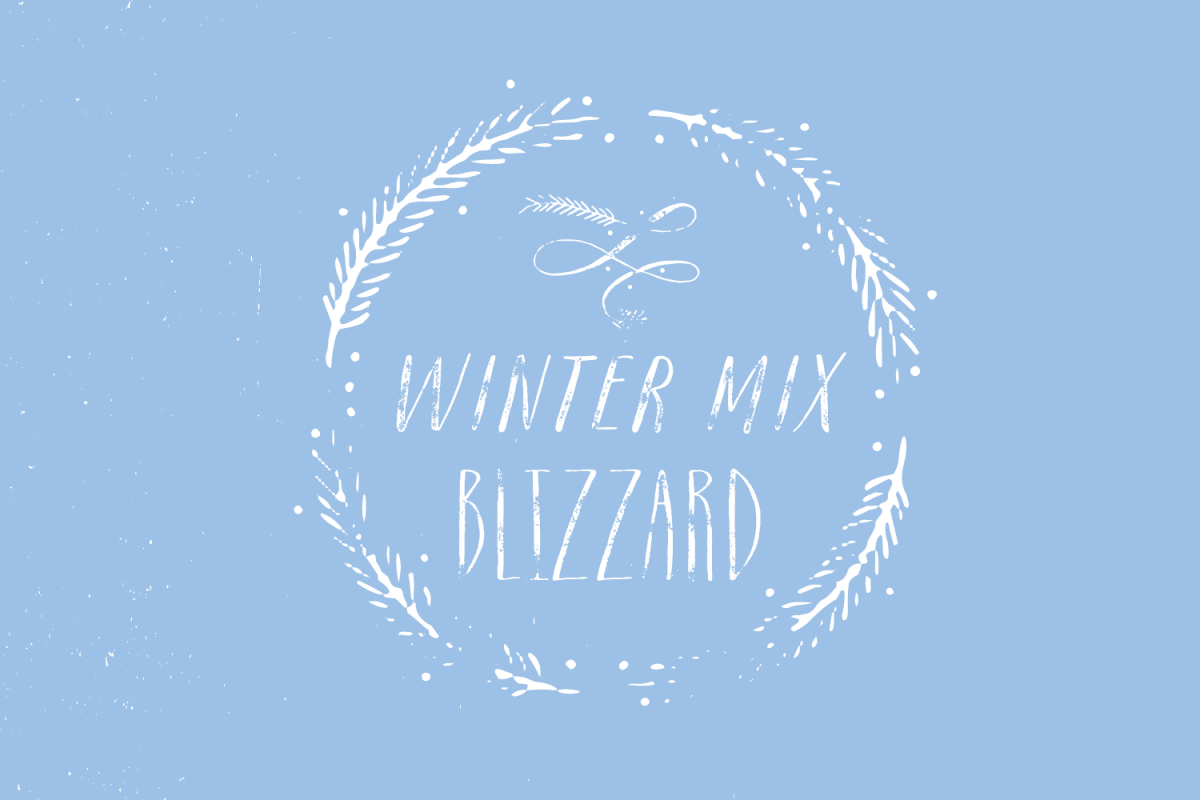 Winter Mix Blizzard example image 1