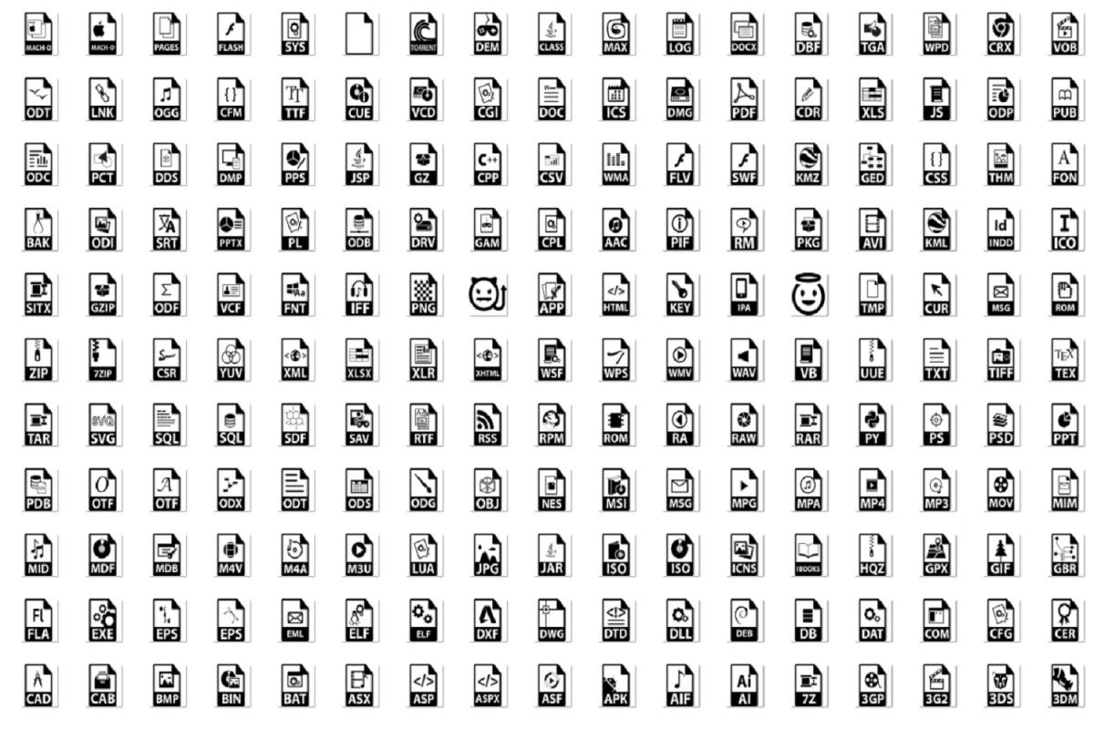 File format icon example image 1