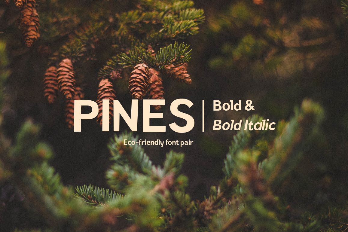 Pines Bold & Pines Bold Italic example image 1