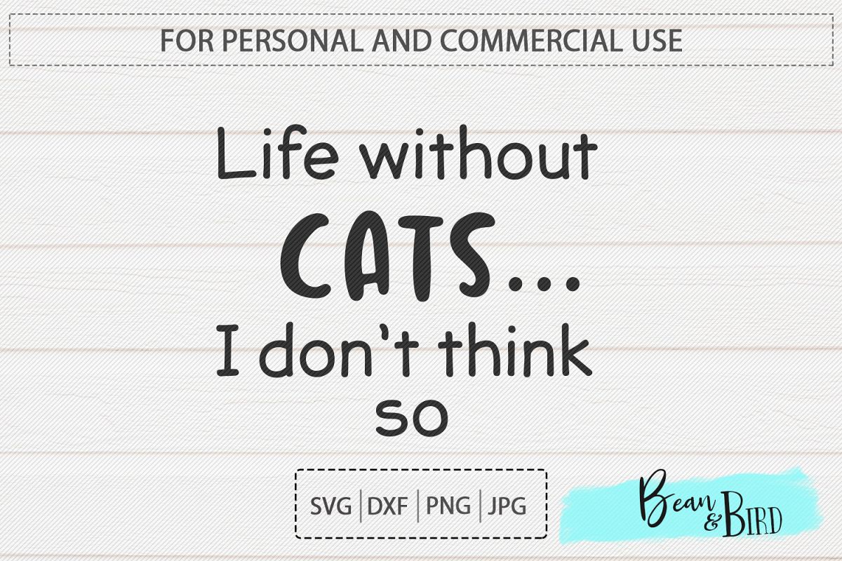 Life without Cats... example image 1