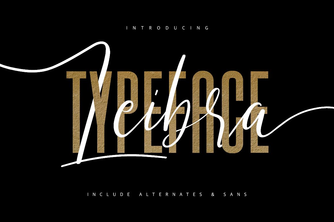 Leibra Typeface example image 1