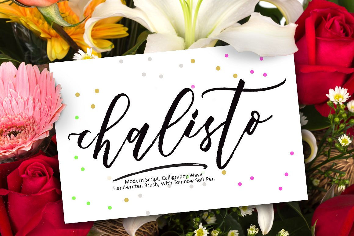 Chalisto Script + Extras example image 1