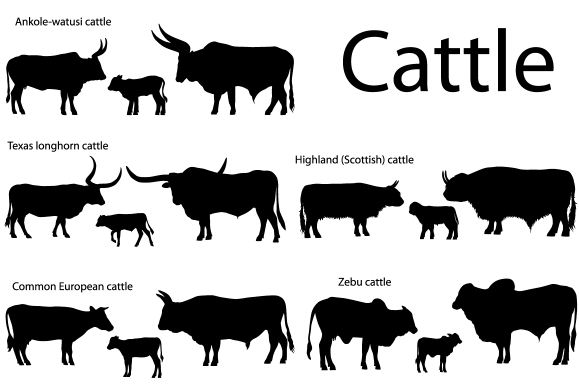 Silhouettes of cattle example image 1
