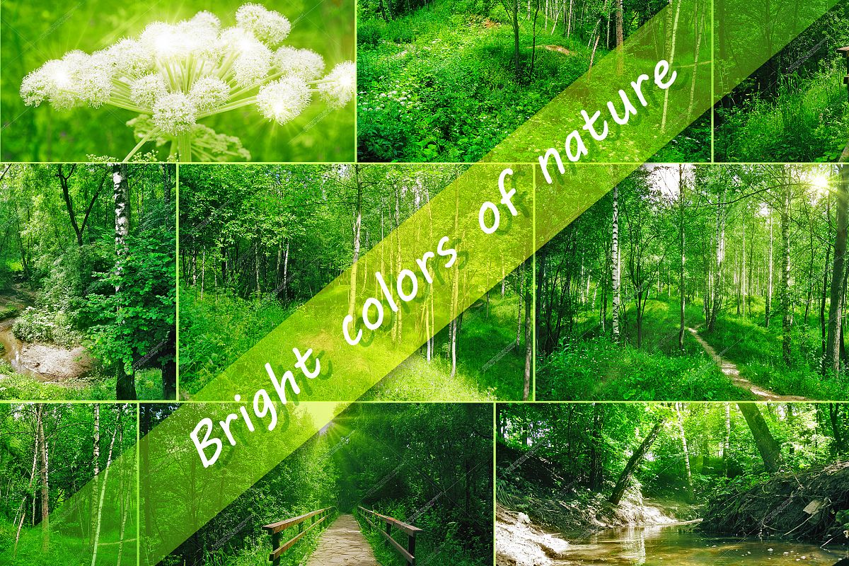 7 Photos of nature example image 1