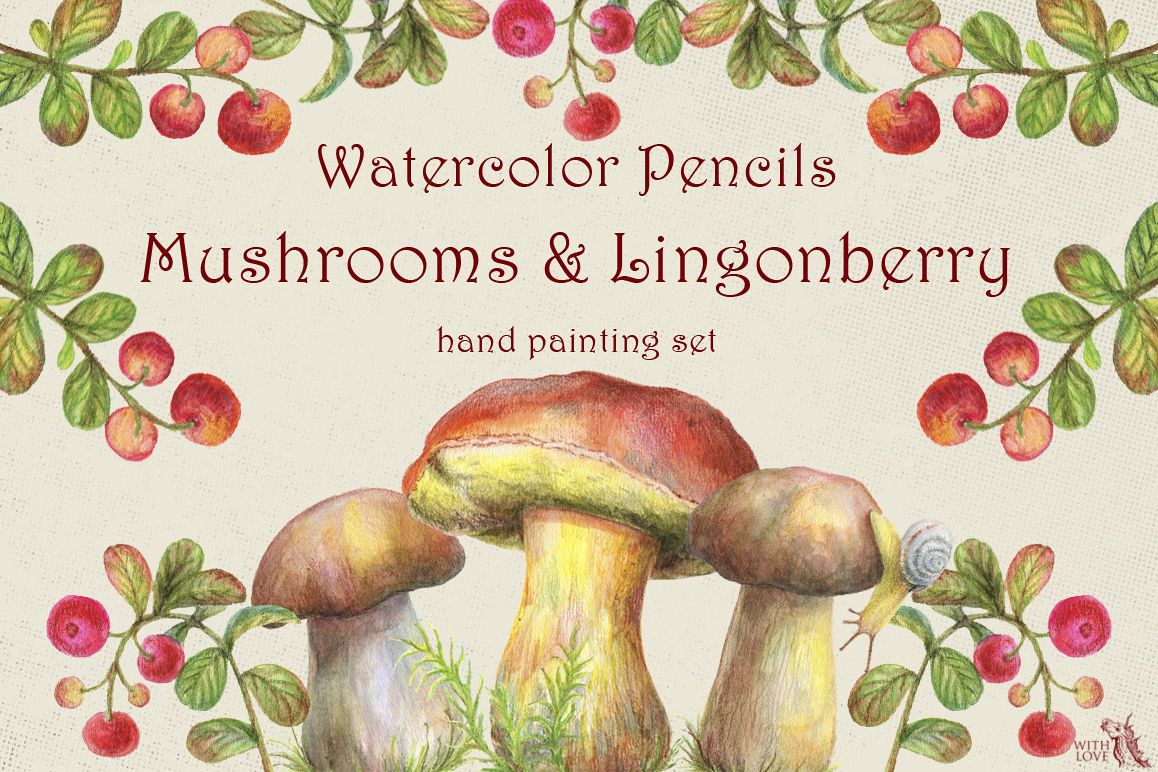 Mushrooms and Lingonberry Set example image 1