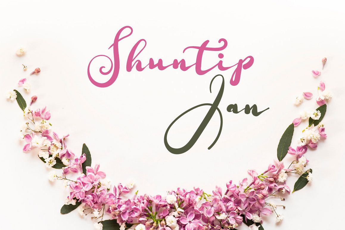 Shuntip Jan Script Font example image 1