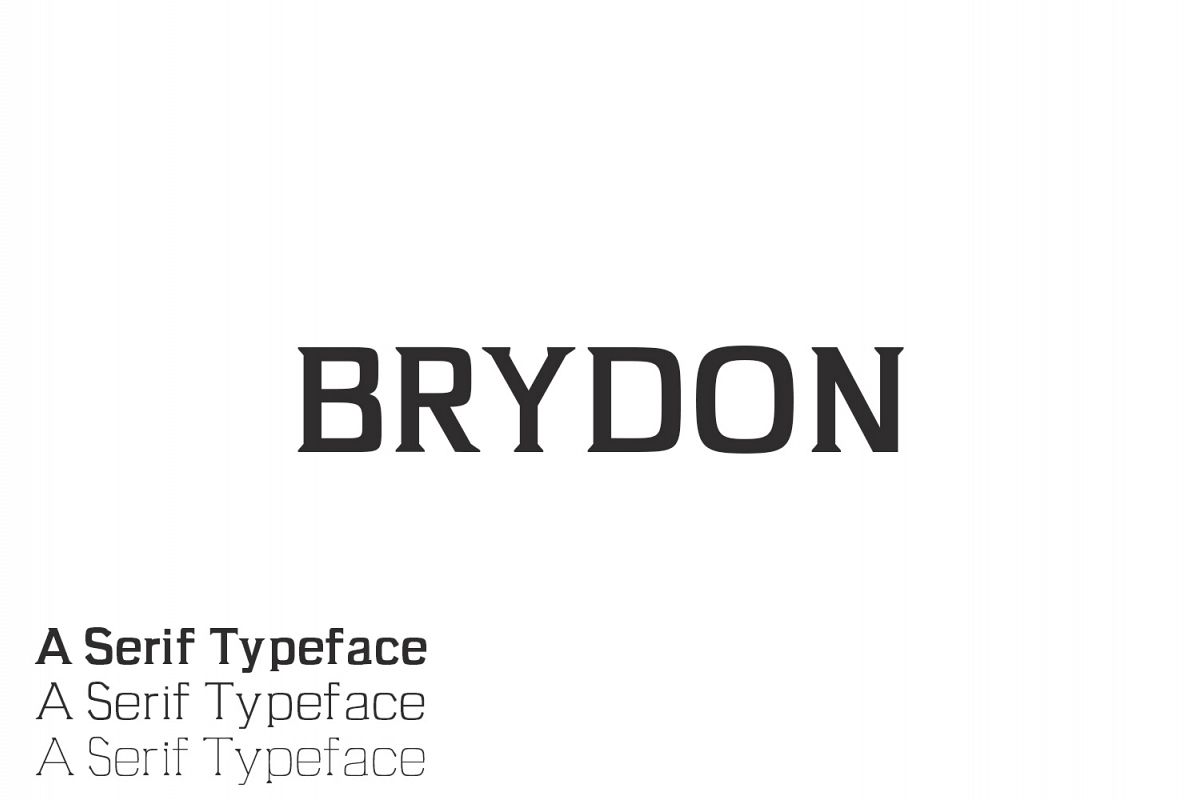 Brydon Serif Typeface example image 1