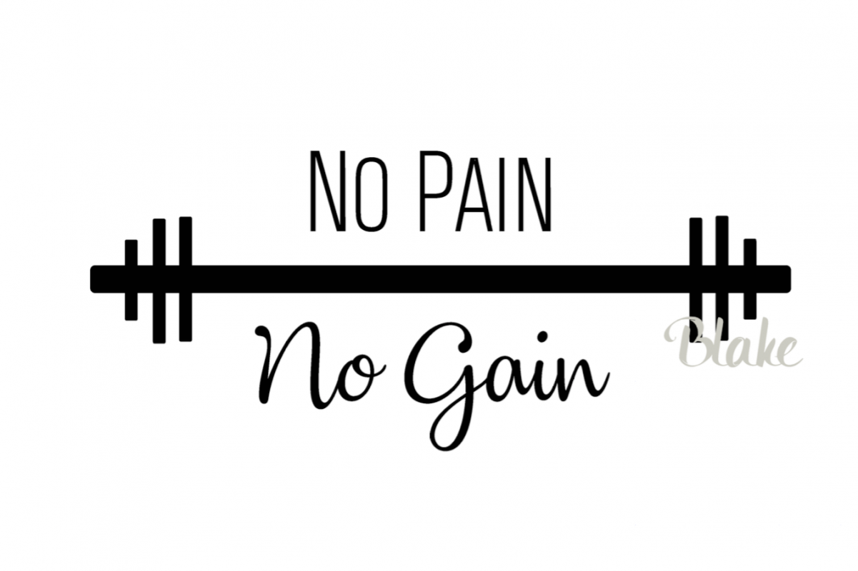 Download NO PAIN No Gain with barbell weights svg CUT file for ...