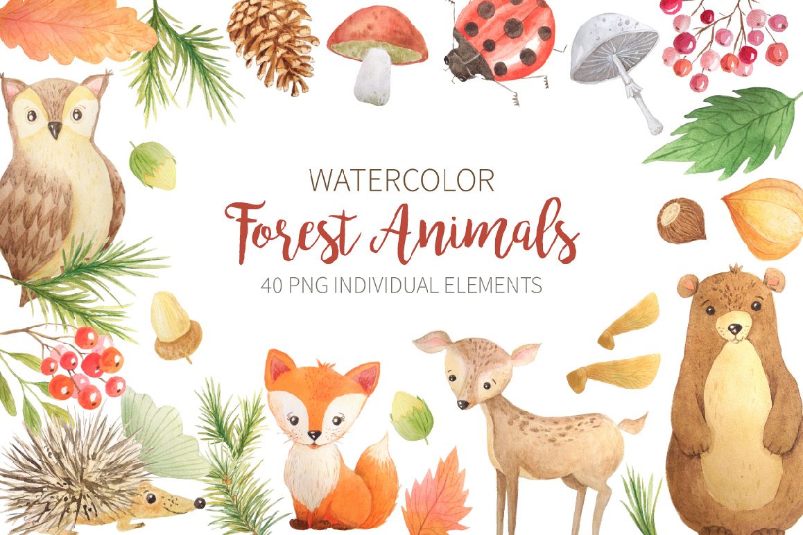 Download Watercolor Forest Animals