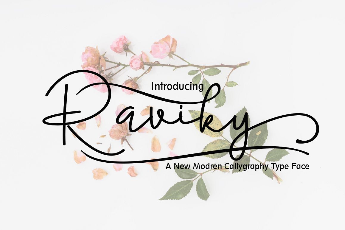 Raviky example image 1