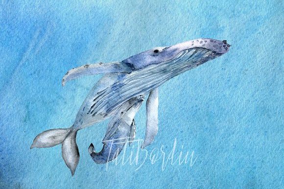 Watercolor Whales Clip Art + Print example image 1