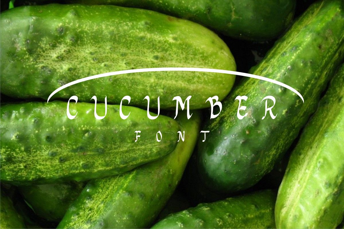cucumberfont example image 1