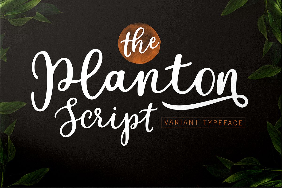 Planton Script example image 1