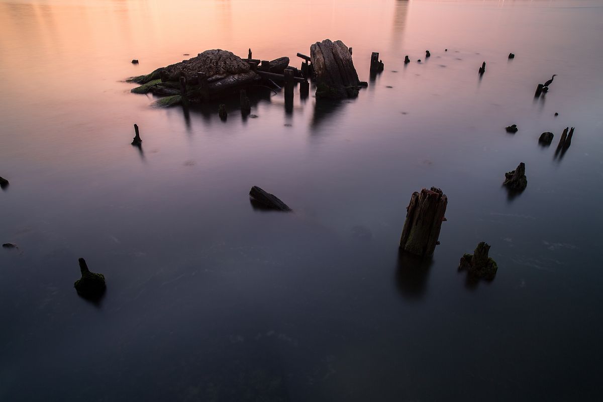 Broken pier view during sunrise with a bird example image 1