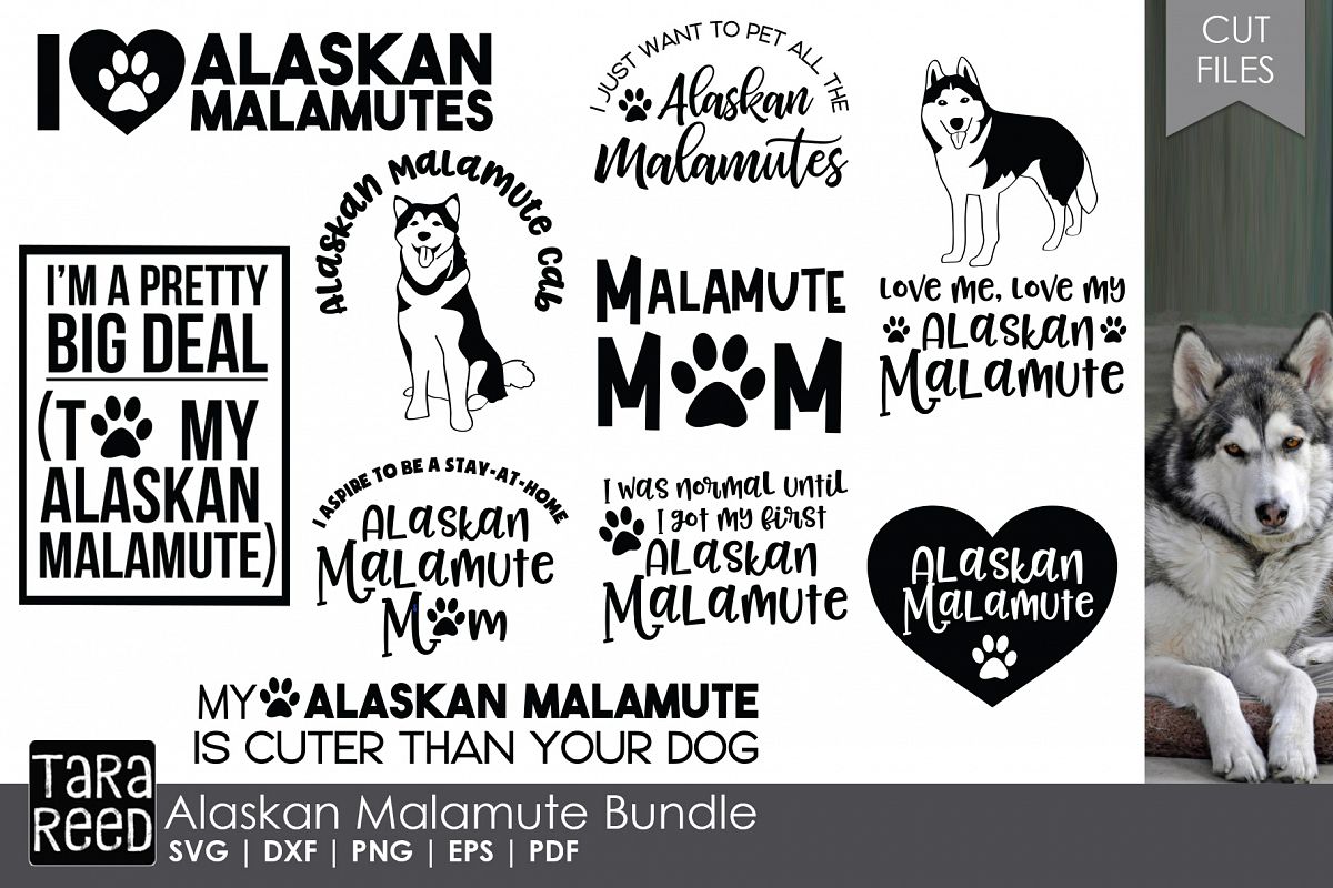 Alaskan Malamute - Dog Breed SVG & Cut Files for Crafters example image 1