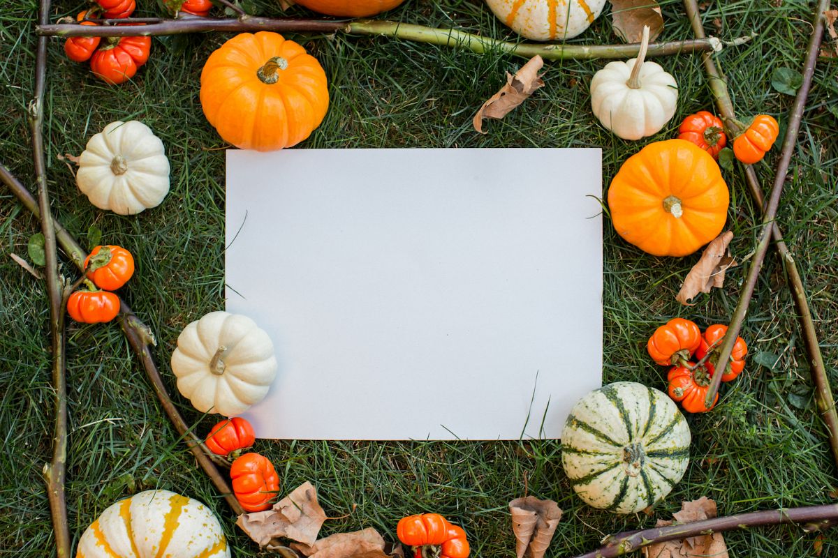 Pumpkin Autumn mockup example image 1