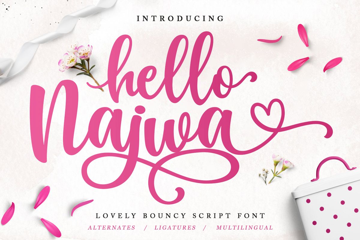 Hello Najwa - Lovely Script Font example image 1