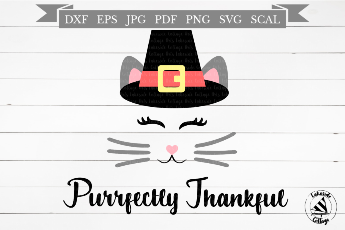 Purrfectly Thankful Cat in Pilgrim Hat Thanksgiving SVG example image 1