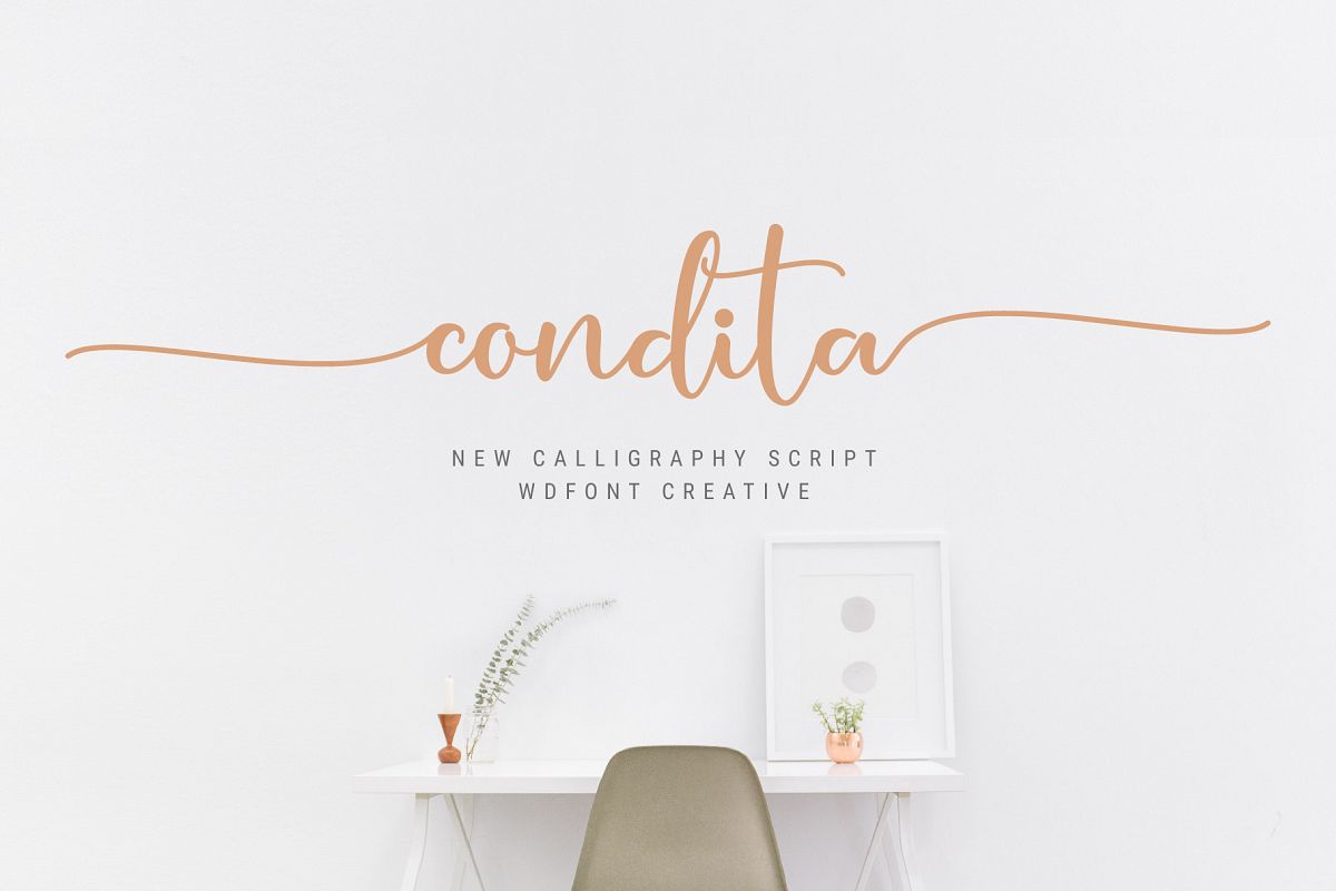 Condita Script Font example image 1