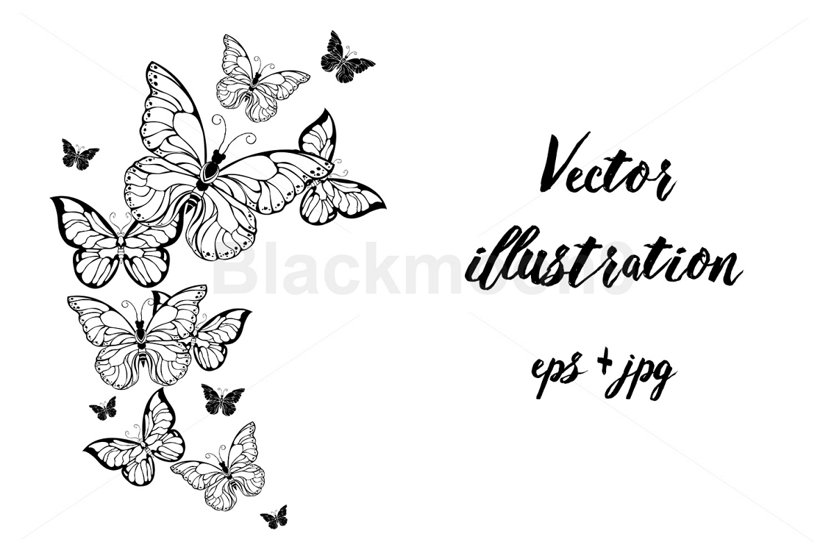 Flying Contour Butterflies example image 1