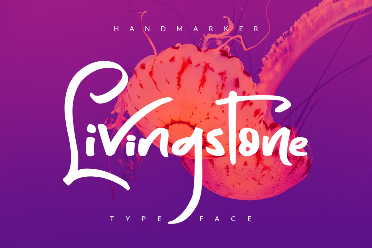 Livingstone example image 1