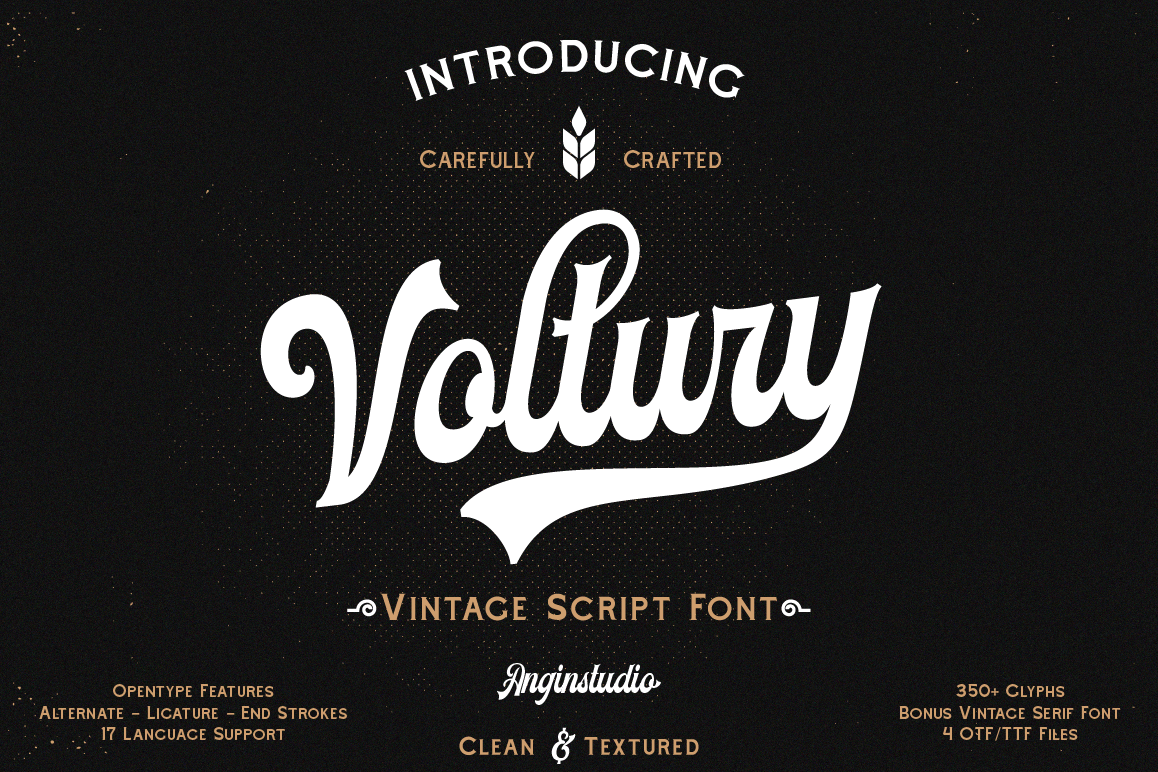 Voltury 4 fonts with extras example image 1