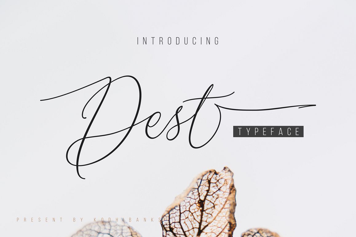 Dest Typeface example image 1