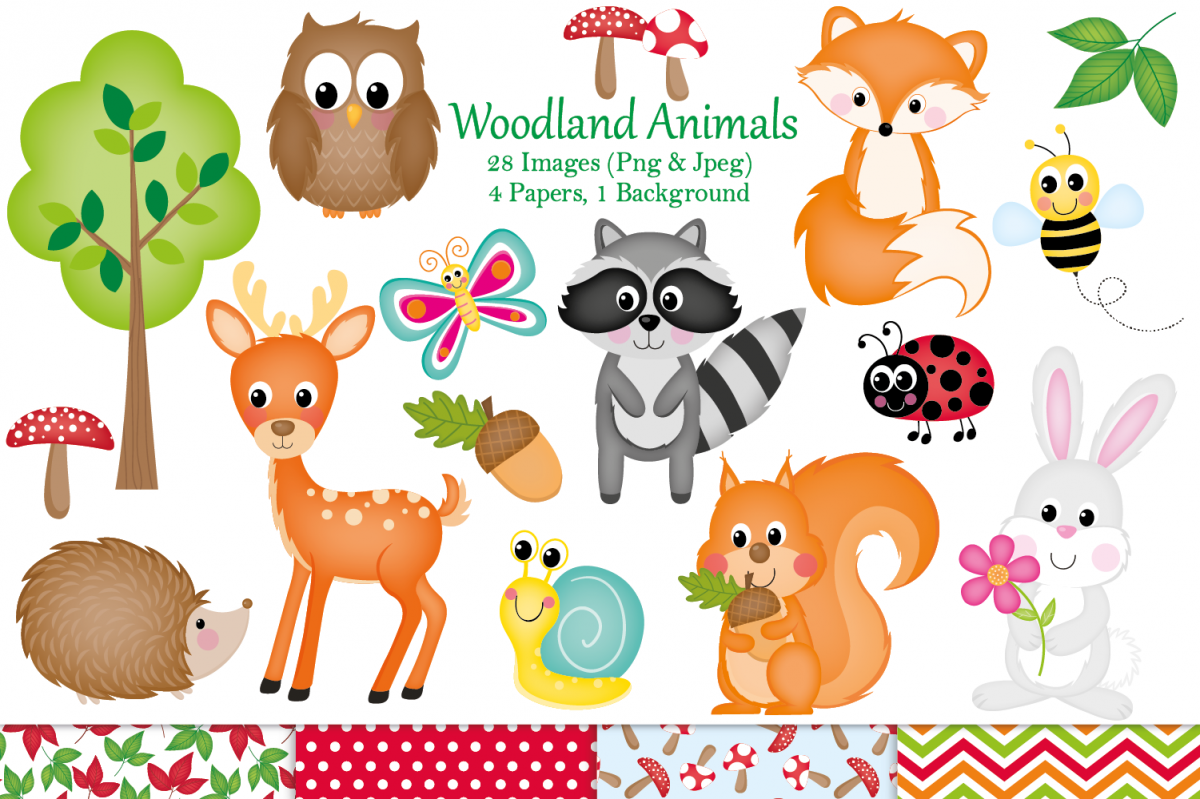 Woodland clipart, Woodland animal graphics & Illustrations example image 1