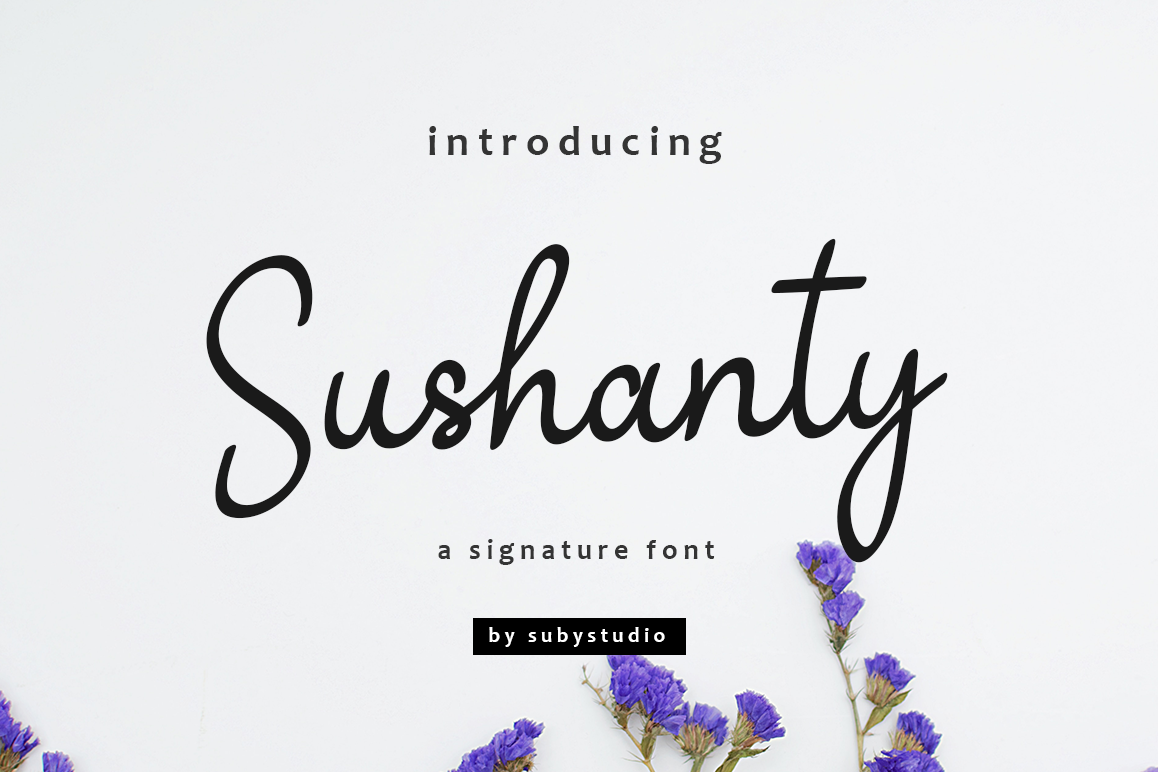 Sushanty example image 1