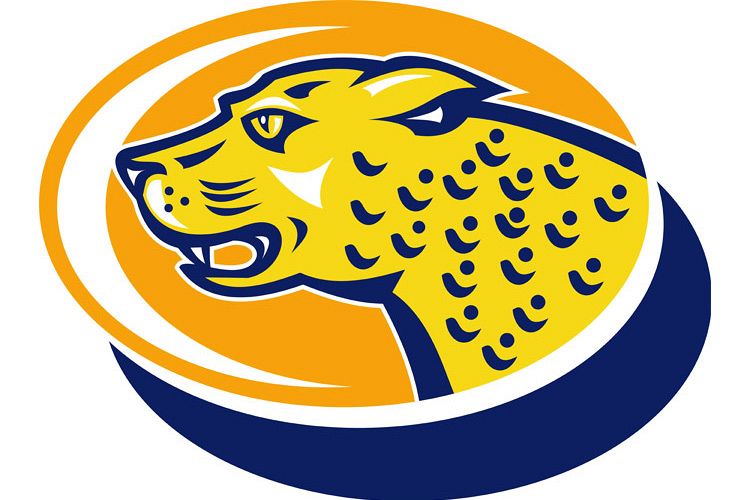 Jaguar Head Facing side example image 1