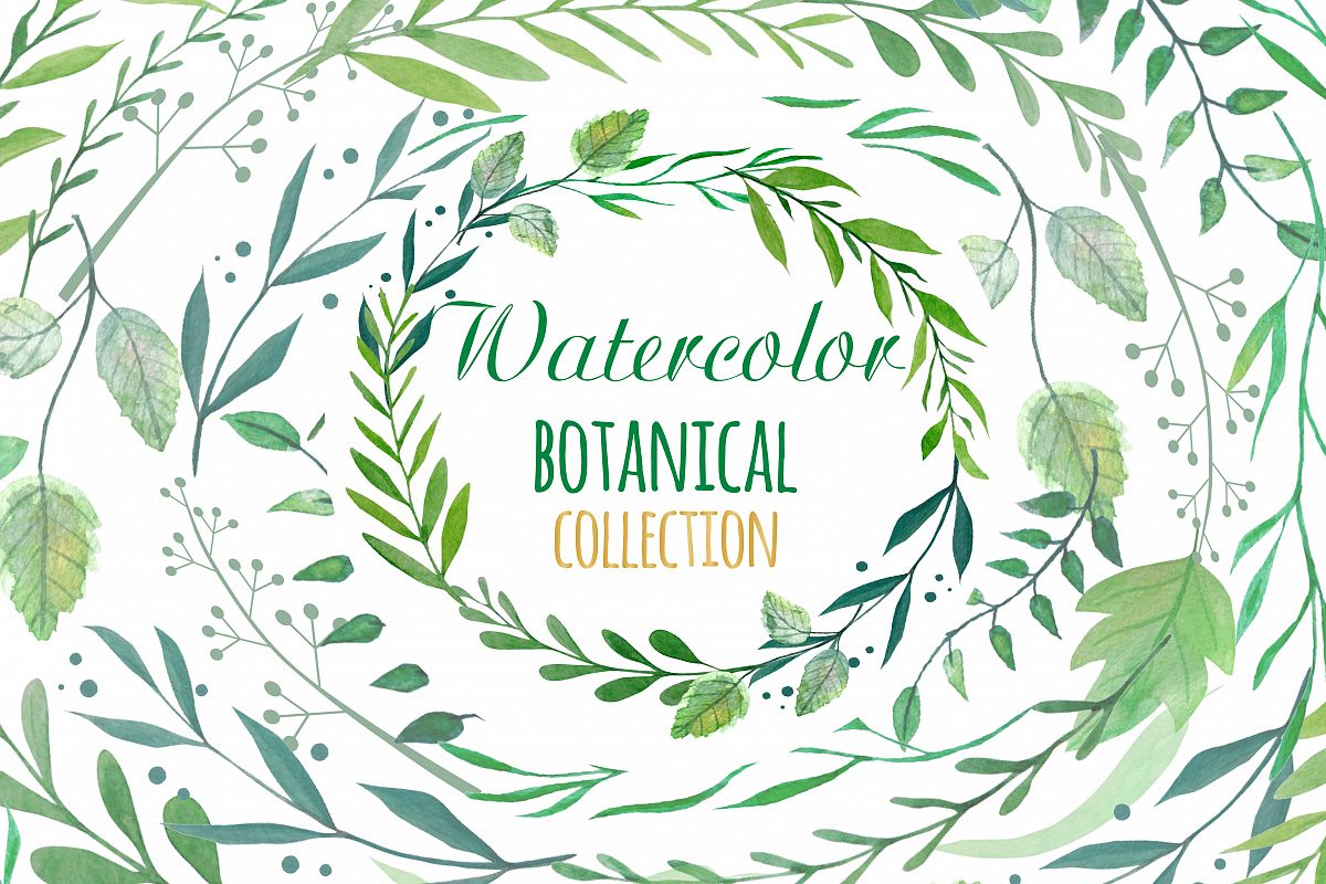 Botanical Watercolor Clipart example image 1