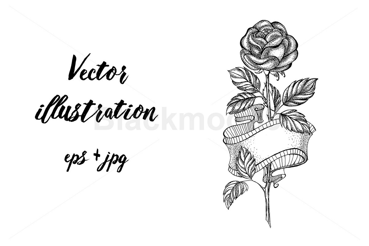 Rose Sketch with Ribbon example image 1