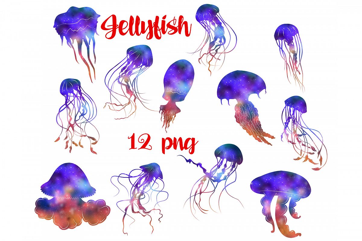 Jellyfish example image 1