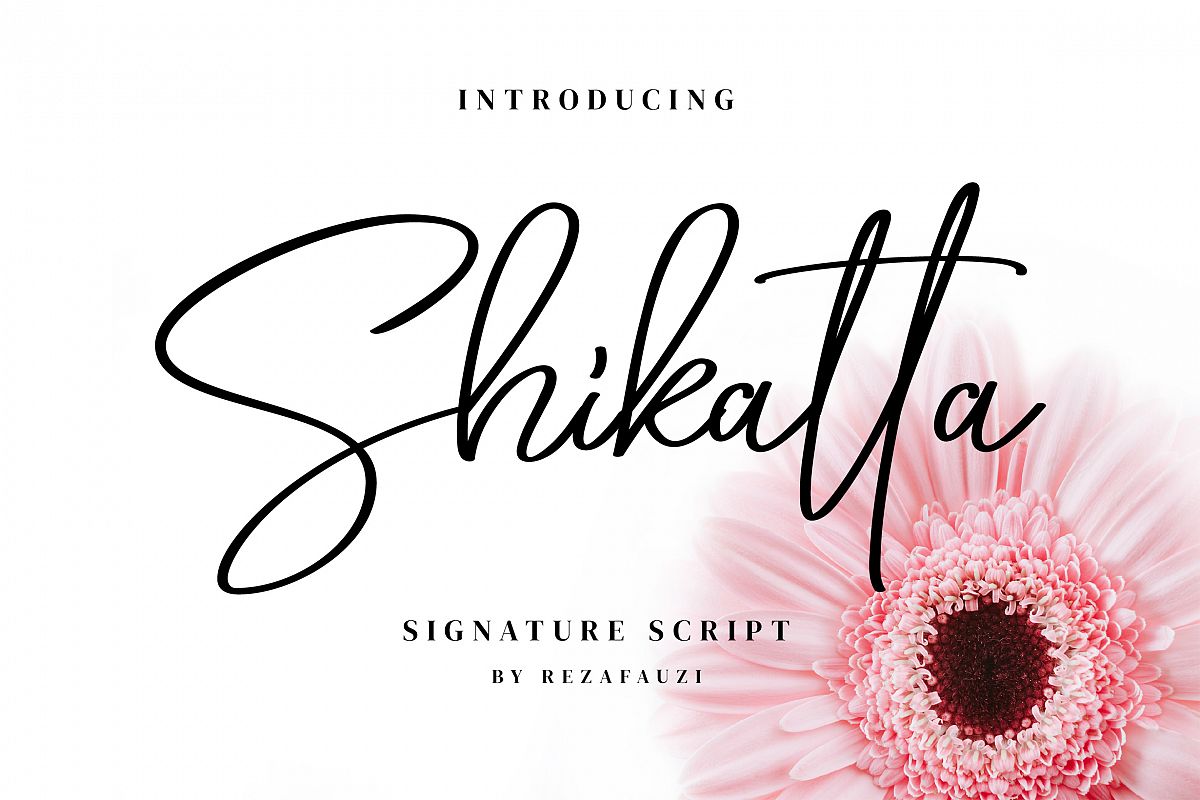 Shikatta - Signature Font example image 1